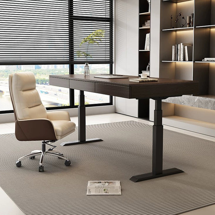 Moreno Electric Standing Office Desk With Storage, Solid Wood