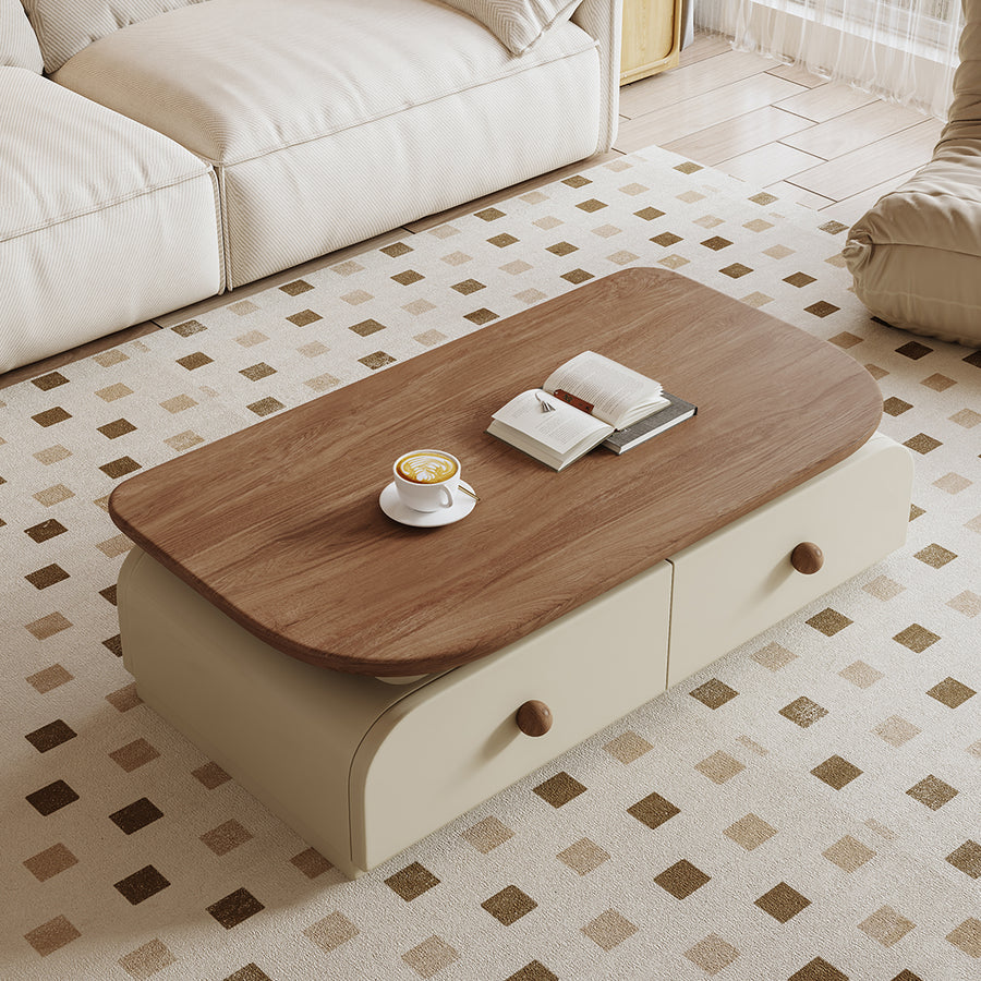 Uddin Rectangle Coffee Table With Storage styled for rectangular coffee table