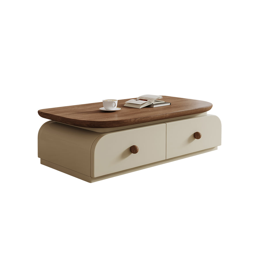 Uddin Rectangle Coffee Table With Storage styled for tan rectangular coffee table UK