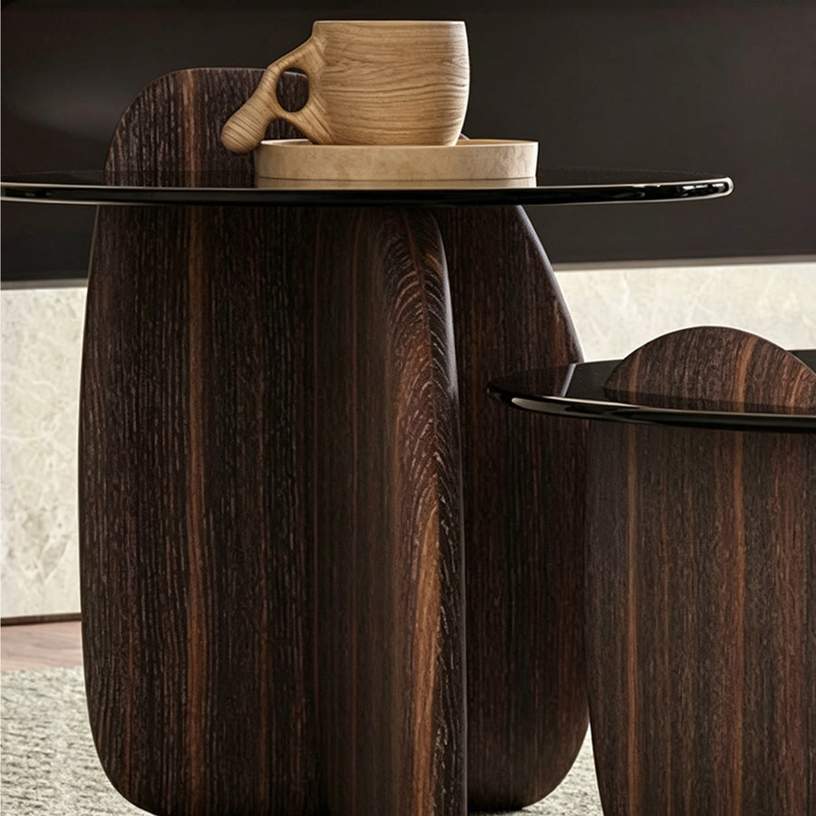 Modern Coffee Table set for Living Room, Dark Walnut Color