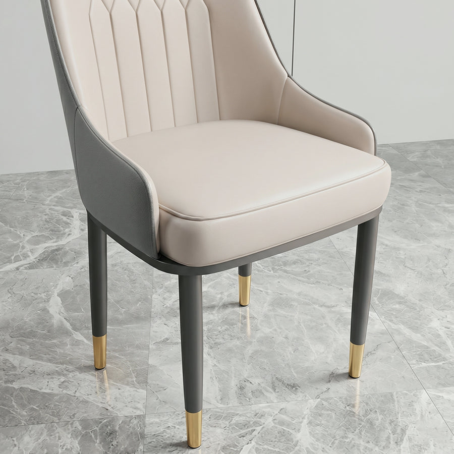 Scott Dining Chair