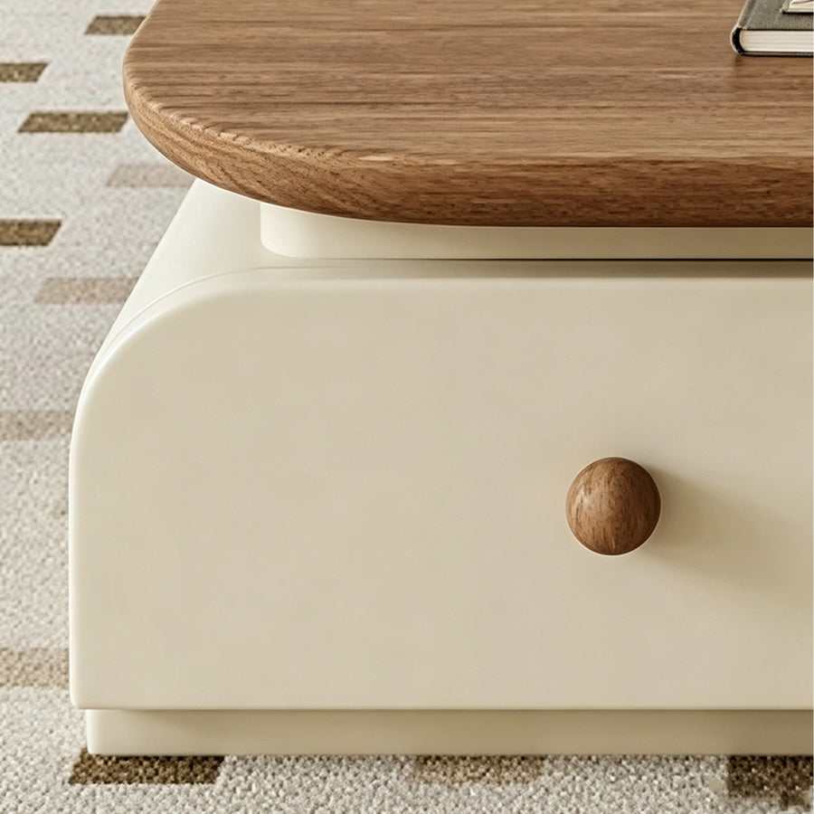 Uddin Rectangle Coffee Table With Storage styled for for living room