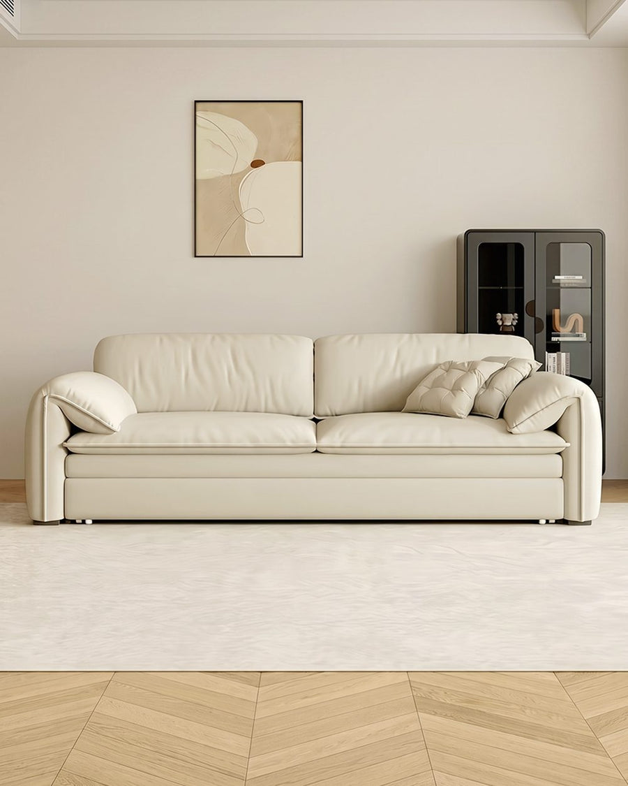 Wilson Single Seater, Two Seater Sofa Bed With Storage 产品图 11