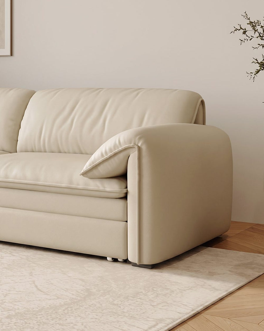 Wilson Single Seater, Two Seater Sofa Bed With Storage 产品图 18