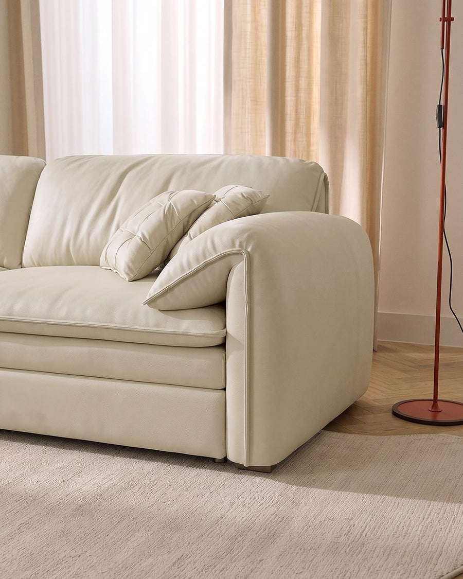 Wilson Single Seater, Two Seater Sofa Bed With Storage 产品图 21