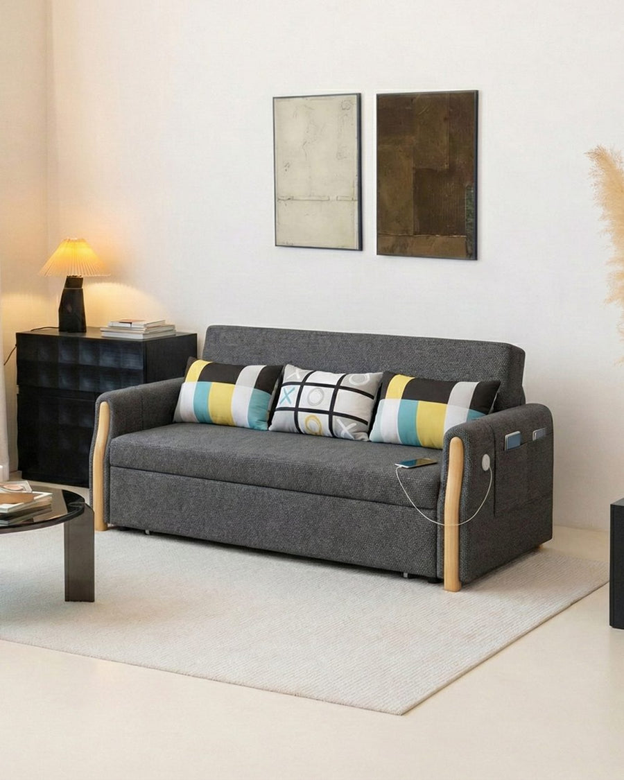 Abner Two Seater Sofa Bed 产品图 17