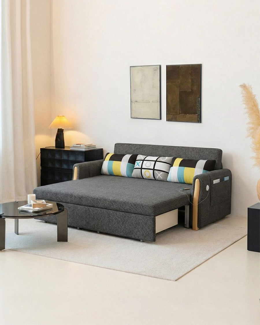 Abner Two Seater Sofa Bed 产品图 18