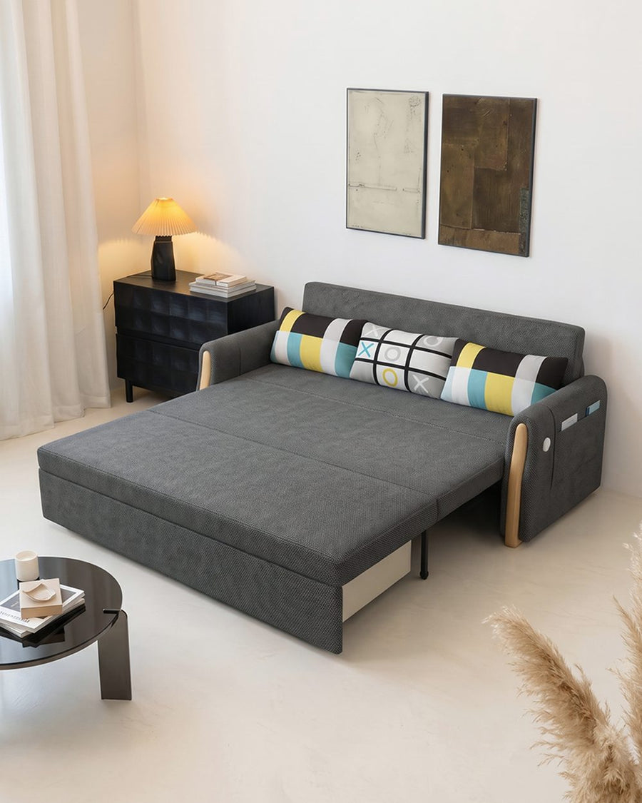 Abner Two Seater Sofa Bed 产品图 19