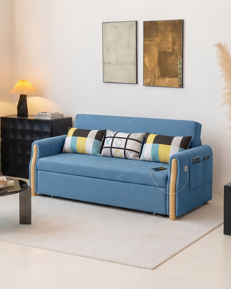 Abner Two Seater Sofa Bed 产品图 22