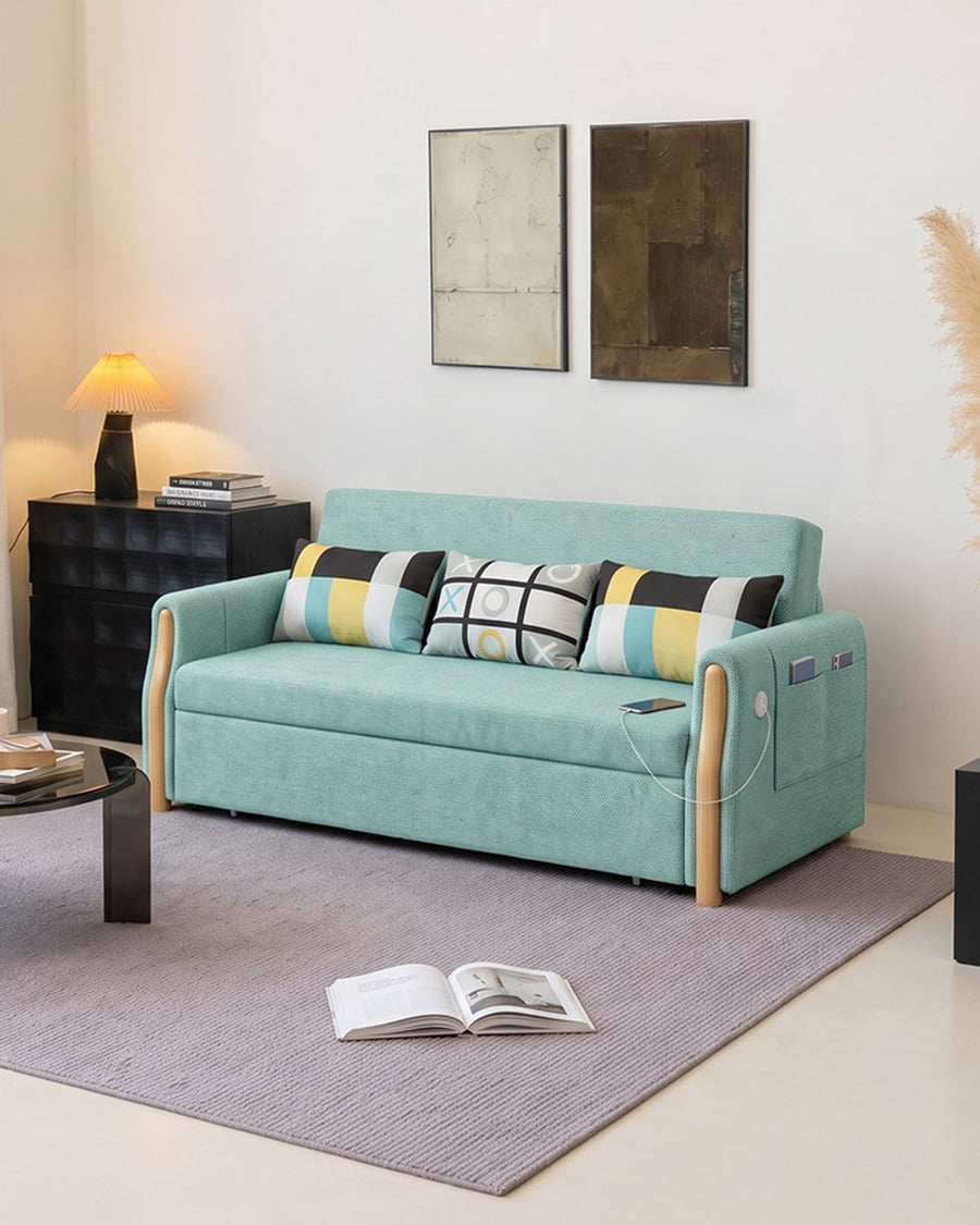 Abner Two Seater Sofa Bed 产品图 23