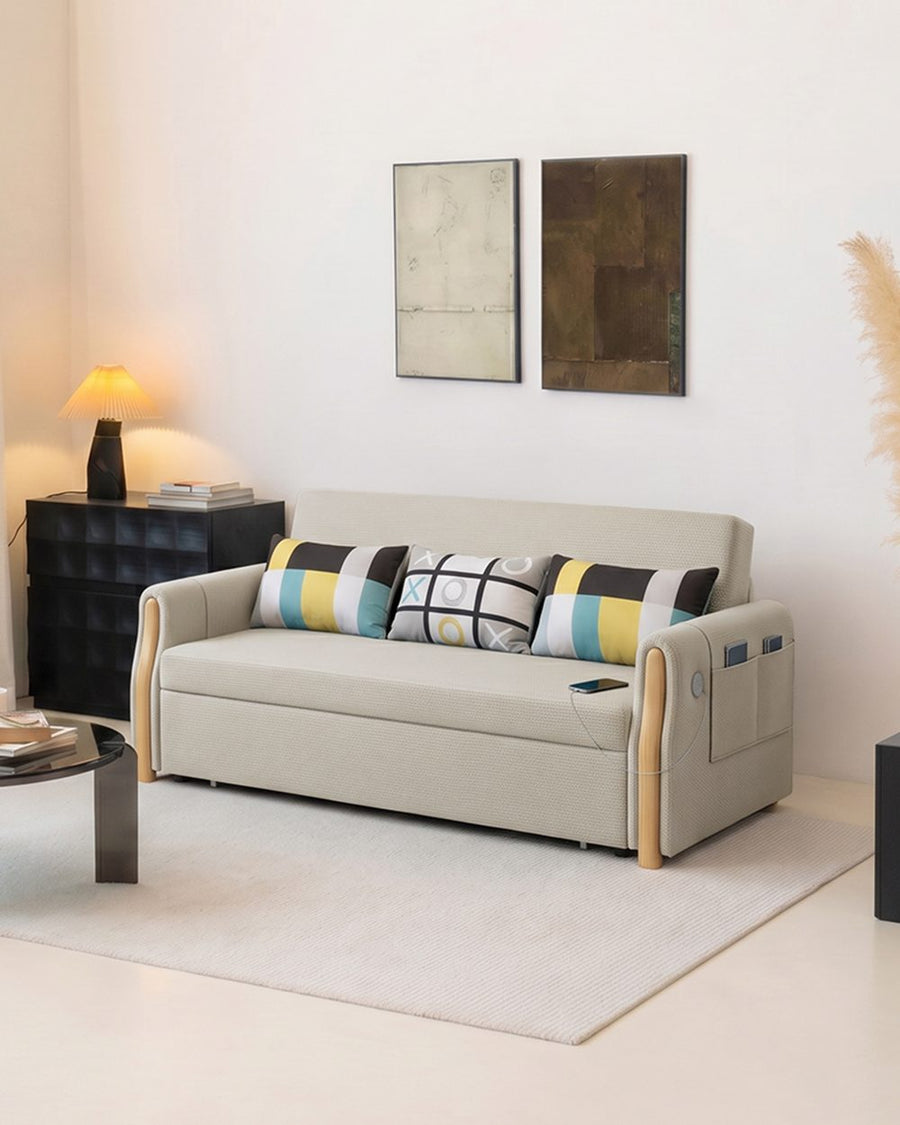 Abner Two Seater Sofa Bed 产品图 24
