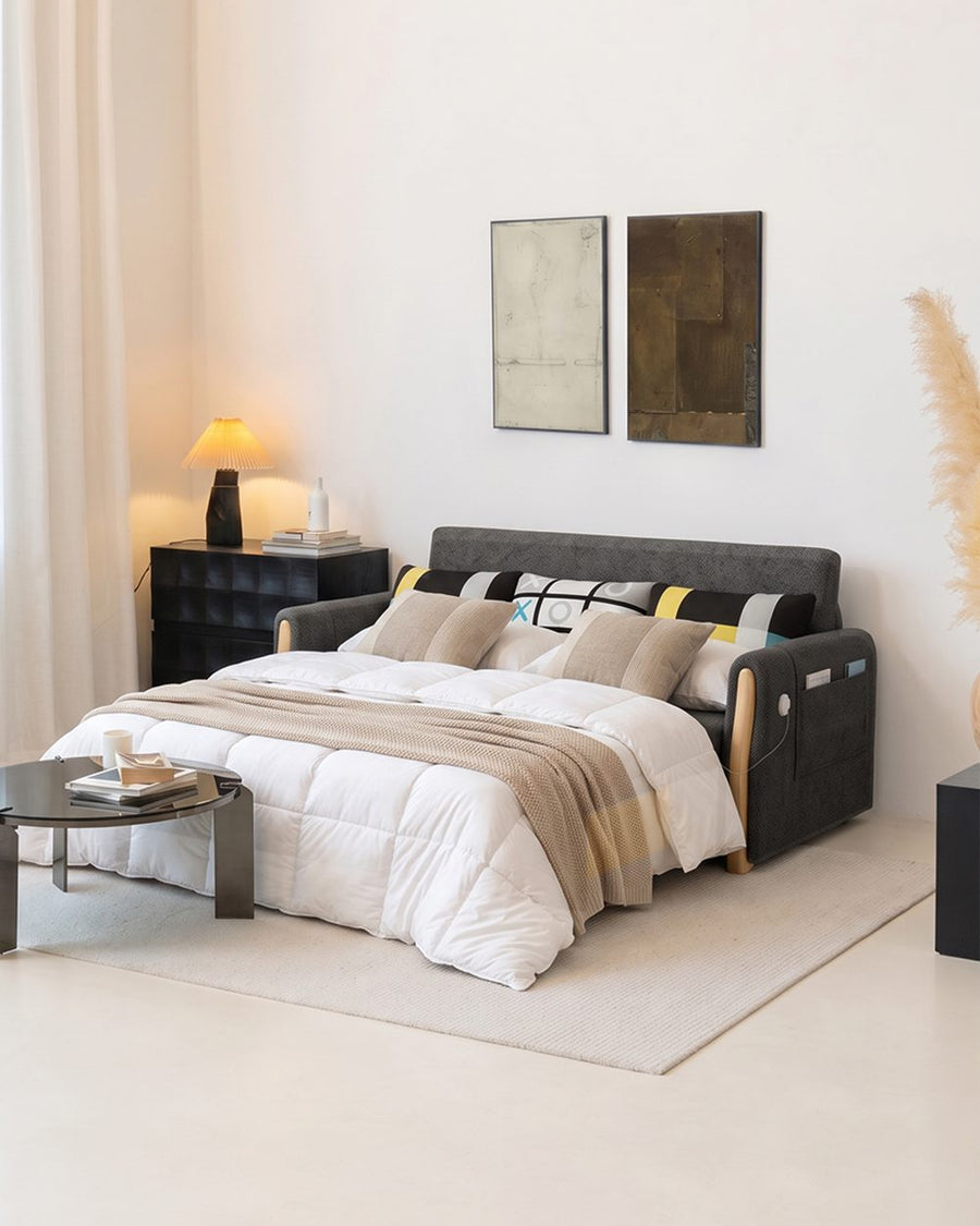 Abner Two Seater Sofa Bed 产品图 12