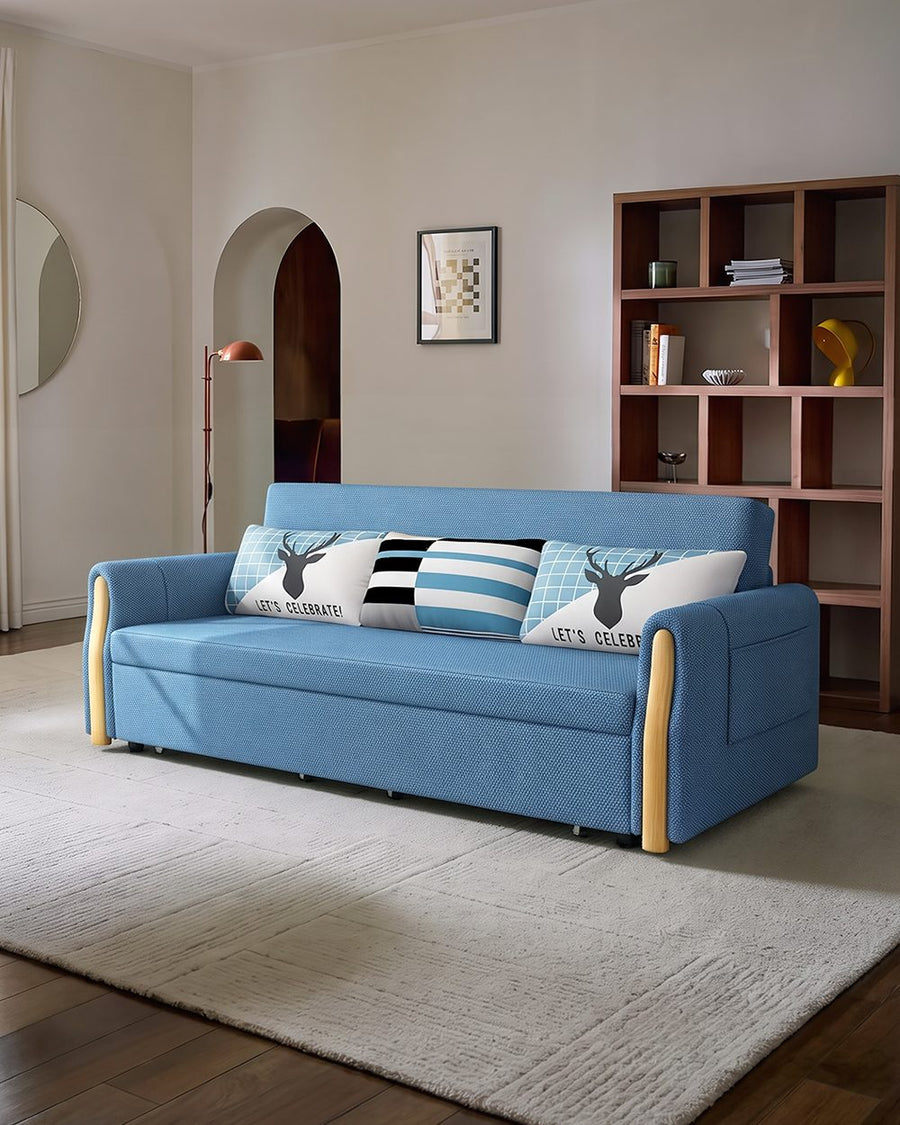 Abner Two Seater Sofa Bed 产品图 20