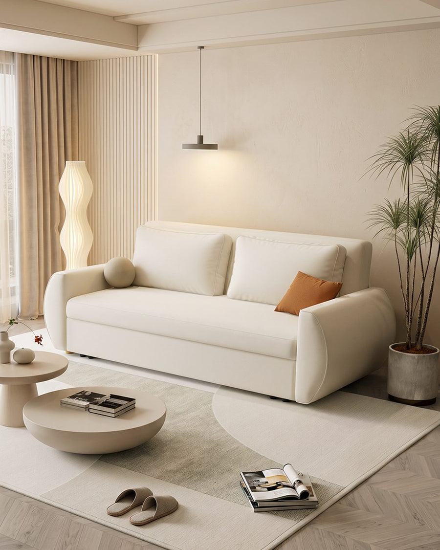 Borislav Two Seater Sofa Bed 产品图 9
