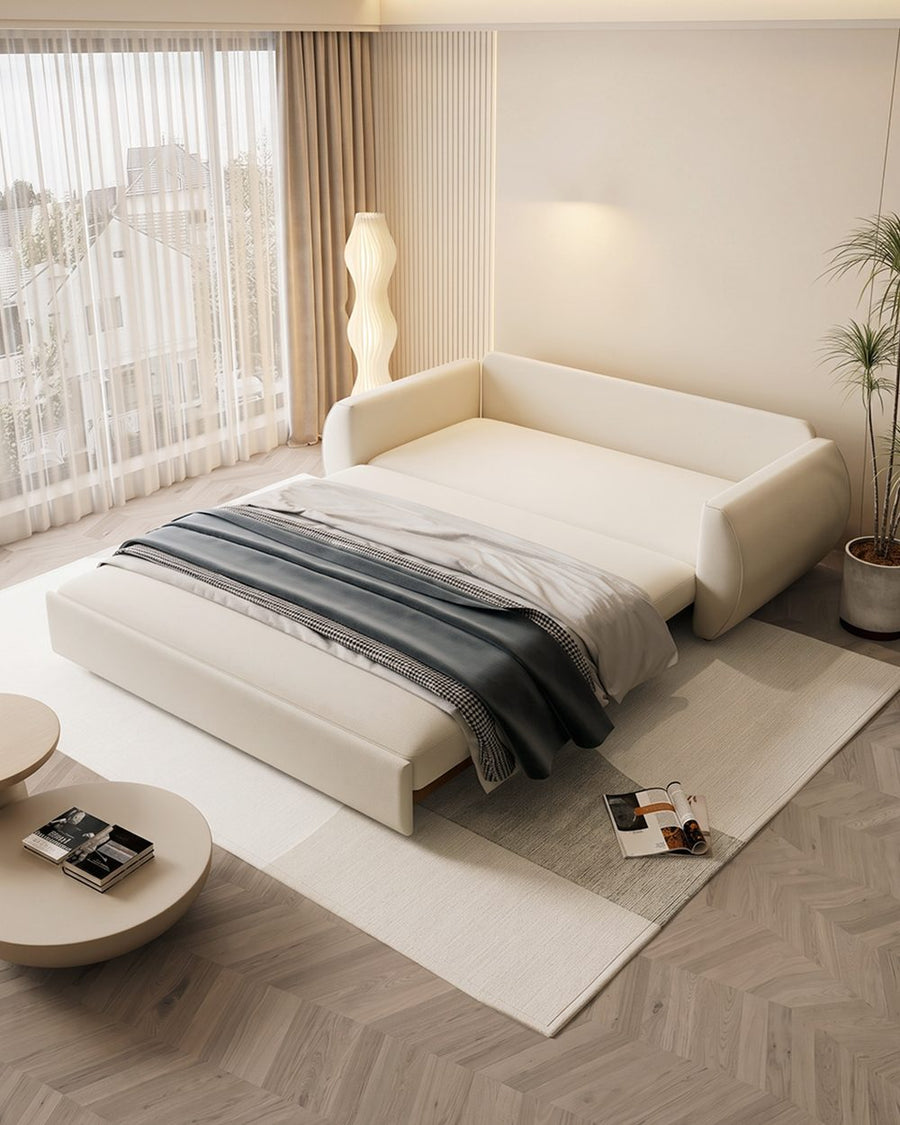 Borislav Two Seater Sofa Bed 产品图 10