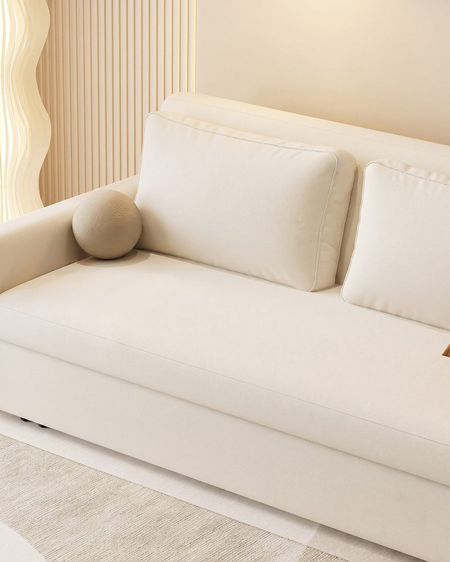 Borislav Two Seater Sofa Bed 产品图 13