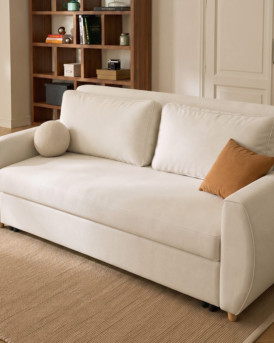 Borislav Two Seater Sofa Bed 产品图 14