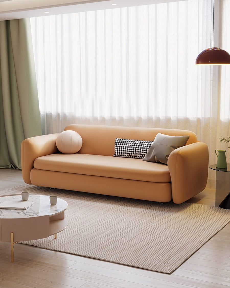 Soft Ananya Two / Three Seater Sofa Bed 产品图 10