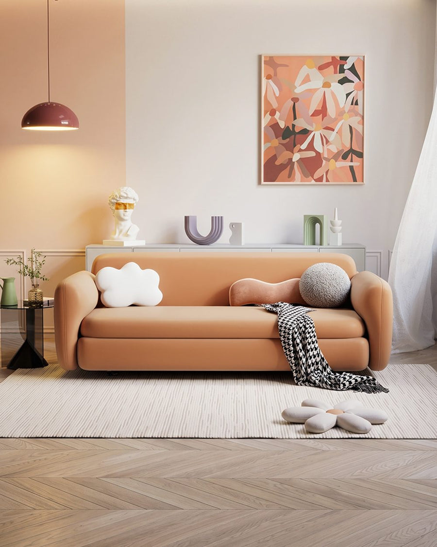 Soft Ananya Two / Three Seater Sofa Bed 产品图 11