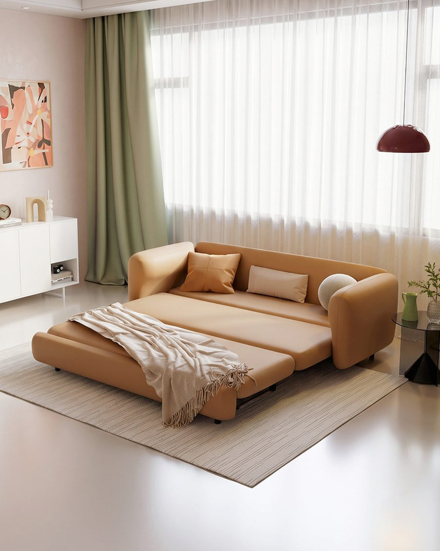 Soft Ananya Two / Three Seater Sofa Bed 产品图 12