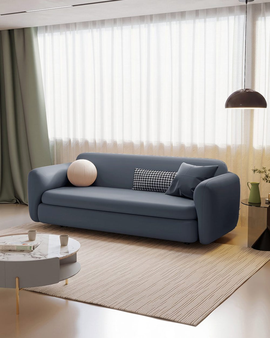 Soft Ananya Two / Three Seater Sofa Bed 产品图 14