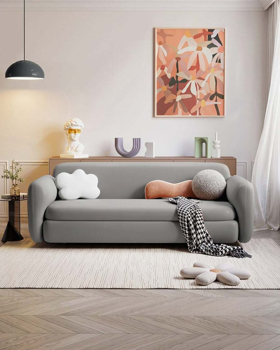 Soft Ananya Two / Three Seater Sofa Bed 产品图 16