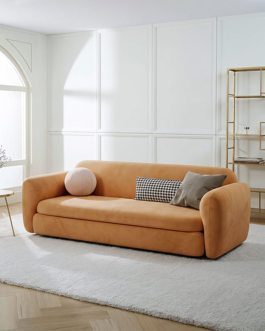 Soft Ananya Two / Three Seater Sofa Bed 产品图 11