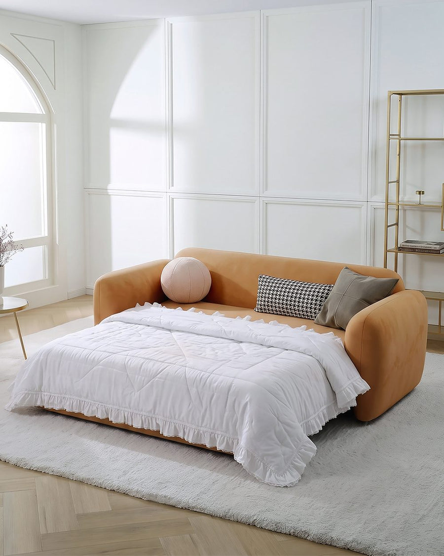 Soft Ananya Two / Three Seater Sofa Bed 产品图 12