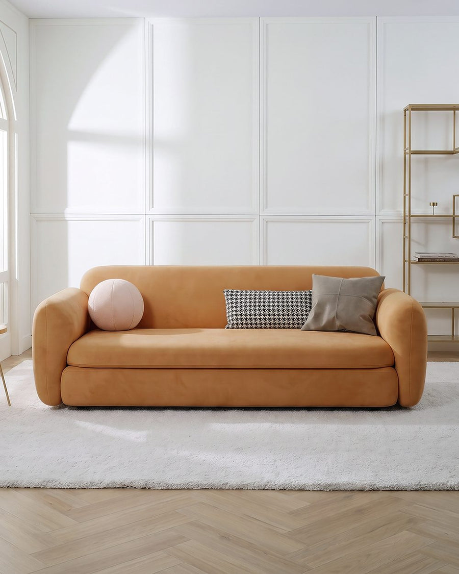 Soft Ananya Two / Three Seater Sofa Bed 产品图 13