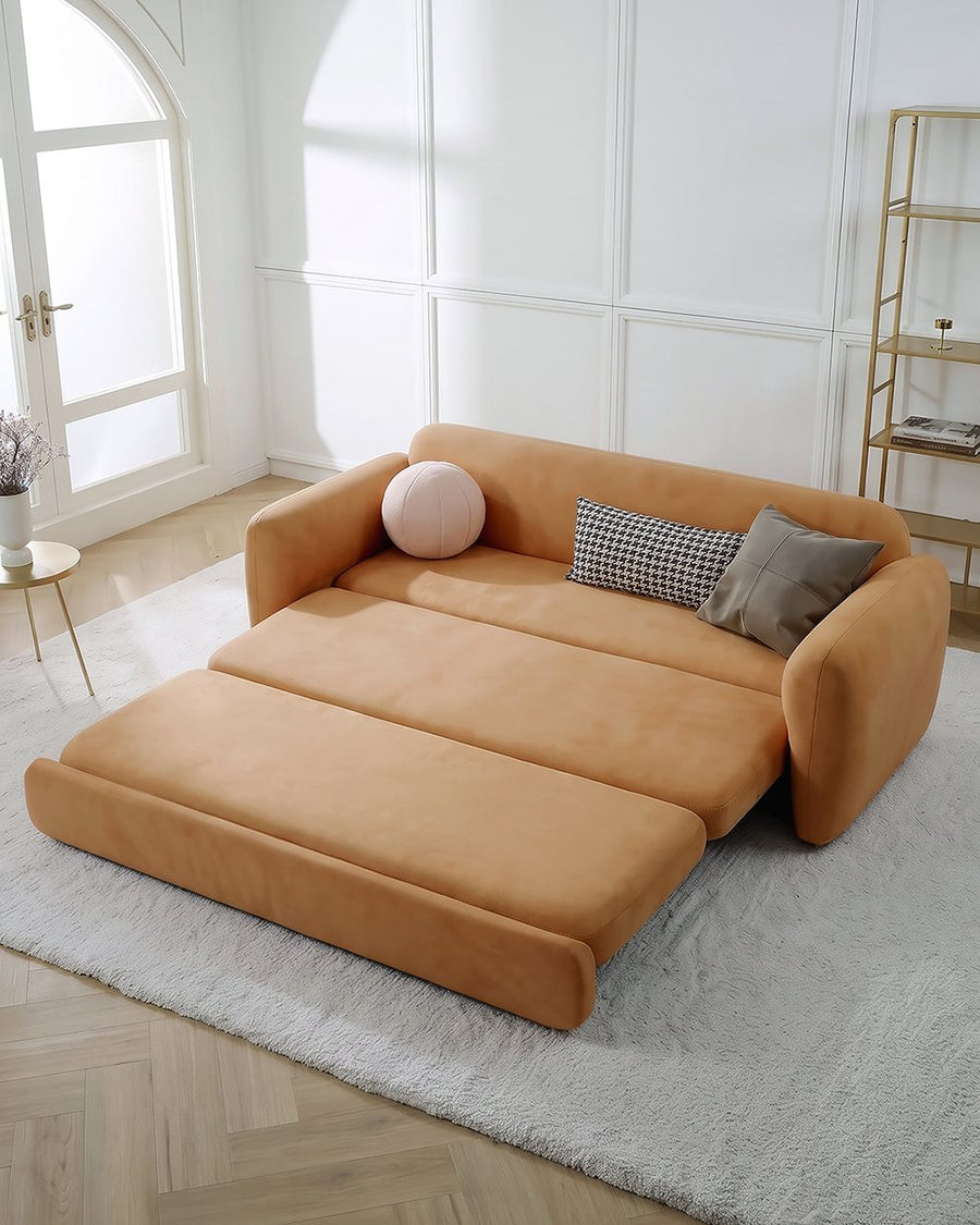 Soft Ananya Two / Three Seater Sofa Bed 产品图 14