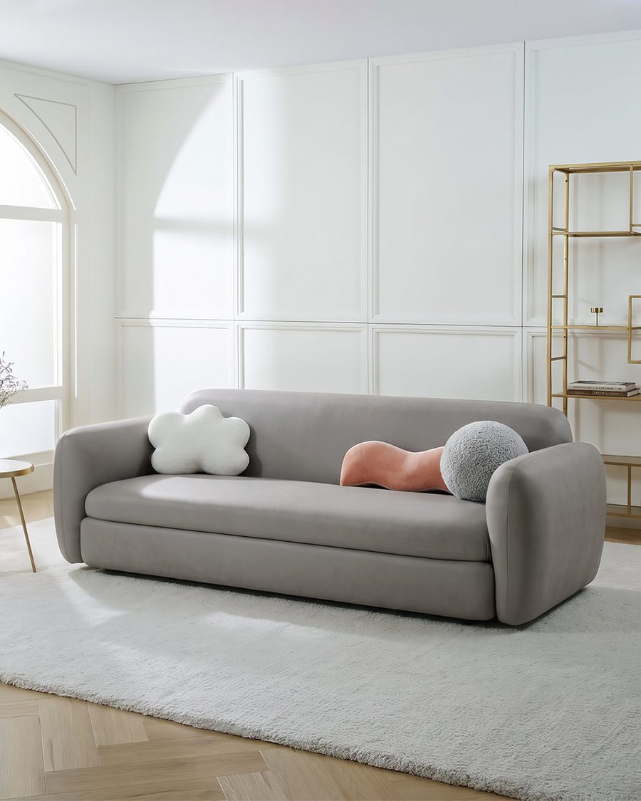 Soft Ananya Two / Three Seater Sofa Bed 产品图 17