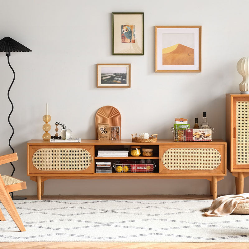 Elijah Rattan TV Stand lifestyle view with tv stand solid wood