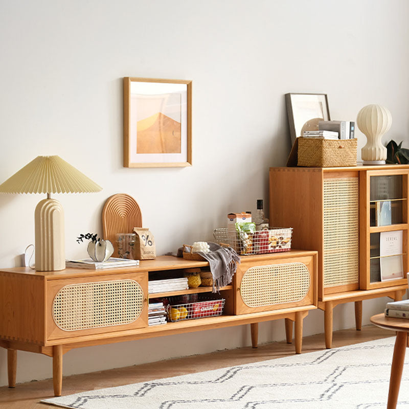 Elijah Rattan TV Stand front view as a media unit